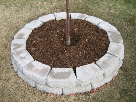 Tree, Tree Ring 45 Diy Tree Rings, Rock Landscaping Ideas Backyard, Lawn Ideas, Building A Retaining Wall, Landscaping Around Trees, Landscape Pavers, Wall Tree, Rock Landscaping Ideas, House Remodeling