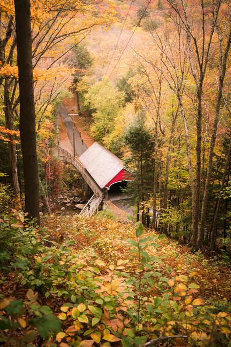 White Mountain National Forest New Hampshire, White Mountains National Forest, The White Mountains New Hampshire, List Of Places To Travel, New England Forest, Nanowrimo 2023, Country Witch, Lincoln Nh, Jungle Explorer