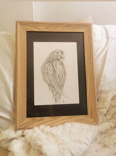 Pencil to paper to art #sketch #bird #art #pencil #frame Framed Pencil Drawings, Sketch Bird, Drawing Frames, Pencil Sketches, Art Pencil, Art Sketch, Pencil Sketch, Pencil Drawing, Bird Art