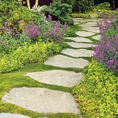 Best Ground Cover Plants, Stepping Stone Walkways, Backyard Walkway, Walkway Landscaping, Walkway Design, Outdoor Walkway, Walkways Paths, Future Garden, Garden Stepping Stones