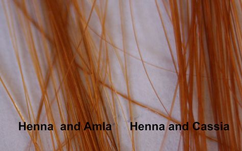 Difference between adding Amla and Cassia to Henna Cassia Hair Before And After, Curl Enhancer, Henna Hair, Long Hair Color, Healthy Scalp, Copper Hair, Ginger Hair, Hair Skin, About Hair