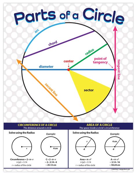 Math Posters Middle School, Circle Worksheet, Geometry Circle, Math Anchor Chart, Parts Of A Circle, Types Of Angles, Math Posters, Teaching Posters, Circle Math