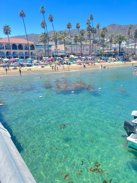 #catalina #island #bluewater #tropical #california #boats #umbrella #beach #boating #islandlife Catalina Island Aesthetic, Avalon Catalina Island, Catalina Island California, Umbrella Beach, California Pictures, West Coast Travel, Santa Catalina Island, Cruise Pictures, Summer Board