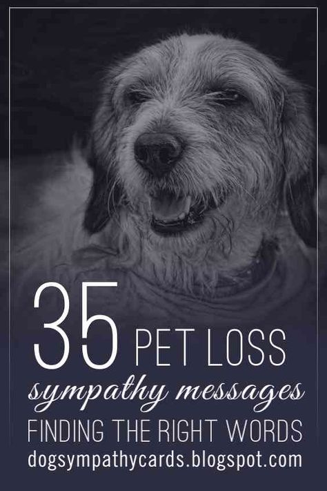 Visit: http://jagifts.us/PetLossSympathyMessages - Pet loss is losing part of one's family.  If you're looking for a wonderful sympathy message to add to card or to express sympathy to another on the loss of their pet, please check out these 35 pet sympathy messages. #petloss #sympathyverses #sympathymessages Sorry You Lost Your Dog Sympathy Cards, Pet Sympathy Messages, Sayings For Loss Of Pet, Sympathy For Dog Loss, Dog Loss Card, Sympathy Card For Dog, Pet Sympathy Quotes Dogs, Sympathy Loss Of Dog, Animal Sympathy Cards