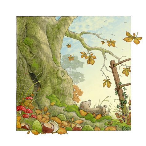 "The hedgehog lay on his back beneath a giant conker tree that stood where Percy's park met the world beyond..." Conker Illustration, Conker Tree, Percy The Park Keeper, Knitting Cartoon, Jill Barklem, Illustration Kunst, Brambly Hedge, Giant Tree, Forest Illustration