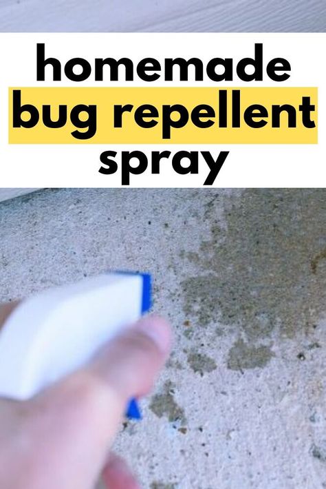 Diy Roach Spray, Roach Spray Diy, Diy Bug Spray For House, Roach Spray, Homemade Bug Repellent, Frugal Homemaking, Bug Repellent Spray, Ant Spray, Kill Roaches