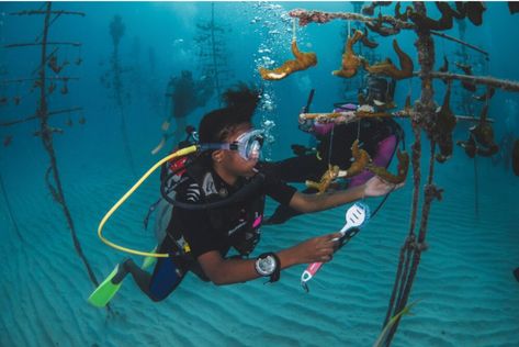 Black Girls Dive Foundation: Non-profit combines STEM activities with scuba lessons | WEAA Daily Water, Local Hero, One Day I Will, Scuba Diver, Stem Activities, Non Profit, Scuba Diving, Black Aesthetic, Beach Life