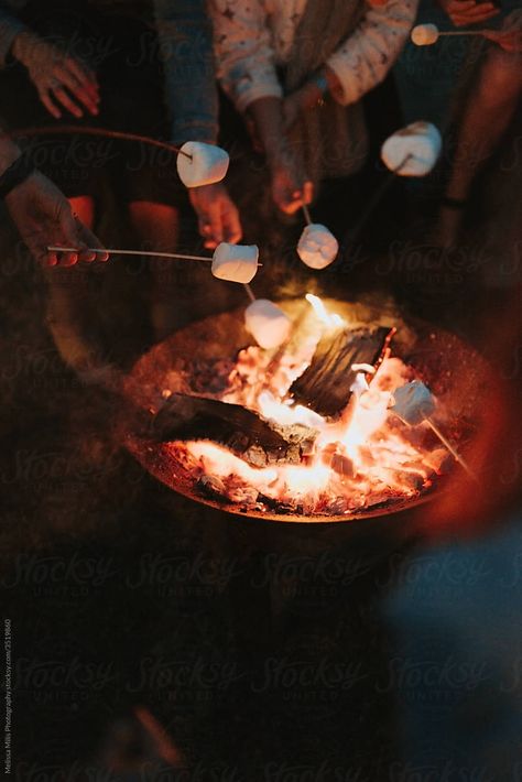 friends roasting marshmallows in the outdoors Party Food Ideas Christmas, Party Appetizers Christmas, Party Snacks Christmas, Christmas Party Desserts, Christmas Party Foods, Party Food Christmas, Christmas Party Recipes, Christmas Party Finger Foods, Christmas Party Dessert