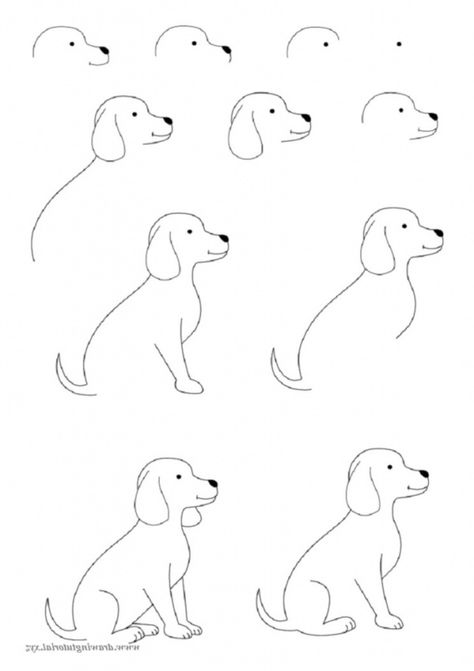 How To Draw Easy Animals Step By Step Image Guide Dog Drawing Simple, Easy Animals, Easy Drawing Tutorial, Dog Steps, 강아지 그림, Easy Drawings For Kids, Drawing Tutorial Easy, Cute Easy Drawings, Art Drawings For Kids