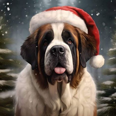 St Bernard Dog, St Bernard Puppy, Christmas Image, Snoopy Images, St Bernard Dogs, Bernard Dog, St Bernard, St Valentin, Wind Spinners