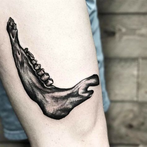 Donkey jawbone Deer Jaw Tattoo, Animal Jaw Bone Tattoo, Animal Jaw Tattoo, Jawbone Tattoo, Jaw Bone Tattoo, Eerie Tattoos, Donkey Tattoo, Black And Grey Tattoos Sleeve, Left Arm Tattoos