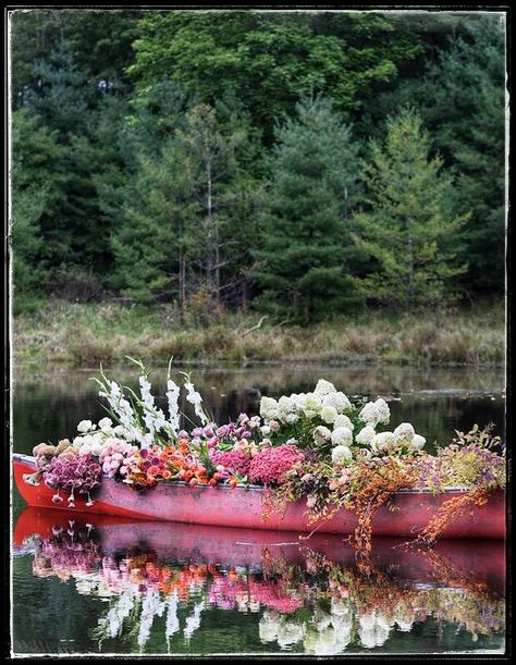 Popular Wedding Colors, Wedding Color Inspiration, Lake Wedding, Upstate Ny, Big Flowers, Rose Wedding, Ponds, Plant Life, Wedding Trends