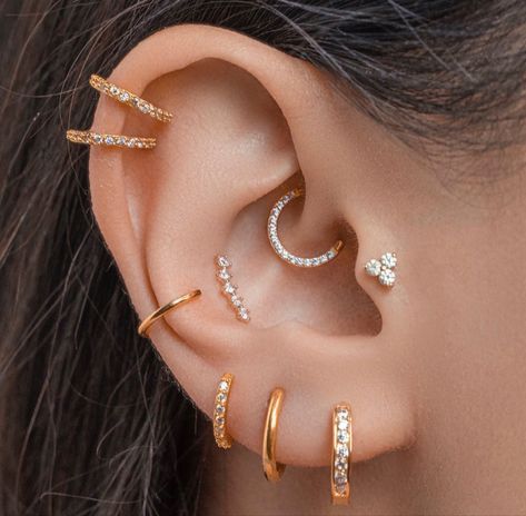 Ear Pearcing Types, Ear Pearcing Ideas Unique, Piercing Oreille Daith, Piecings Ear Ideas, Ear Pearcing Ideas, Gold Daith Piercing, Ideas Para Piercings En La Oreja, Piercings Oreja Aesthetic, Ear Piercing Ideas Daith