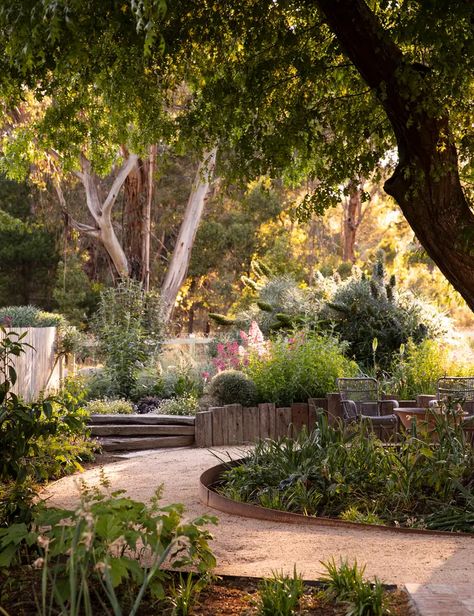 Ornamental Pear Tree, Mediterranean Plants, Old Oak Tree, Fire Pit Area, Native Garden, Outdoor Dining Area, Perennial Garden, The Design Files, Country Gardening