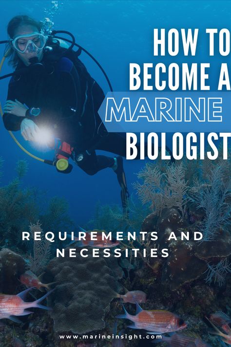 How To Become A Marine Biologist, Marine Biology School, Marine Biologist Outfit, Marine Biologist Career, Orca Facts, Marine Biology Degree, Biology Jobs, Biology College, Field Journal