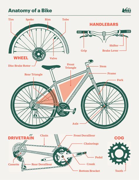 Mountain Bike Maintenance, Bicycle Infographic, Bike Infographic, Parts Of Bike, Bicycle Anatomy, Bike Repair Shop, Bike Logos Design, Mountain Bike Parts, Bike Maintenance