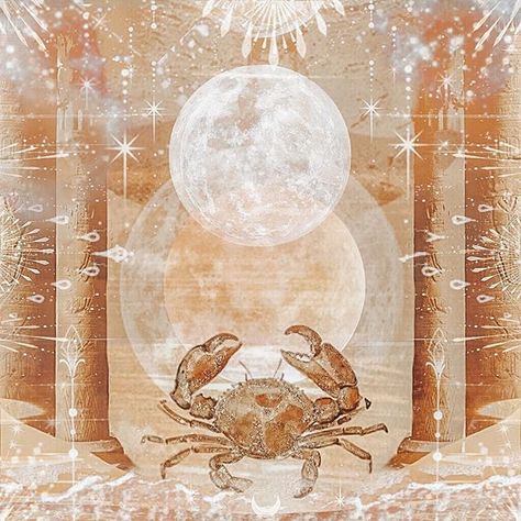 Celebrating Thankfulness Under The Sagittarius New Moon – Girl and Her Moon Sagittarius New Moon, Full Moon Lunar Eclipse, Empath Abilities, Moon Lunar Eclipse, Moon Girl, Lunar Eclipse, Inner World, Art Gold, New Moon