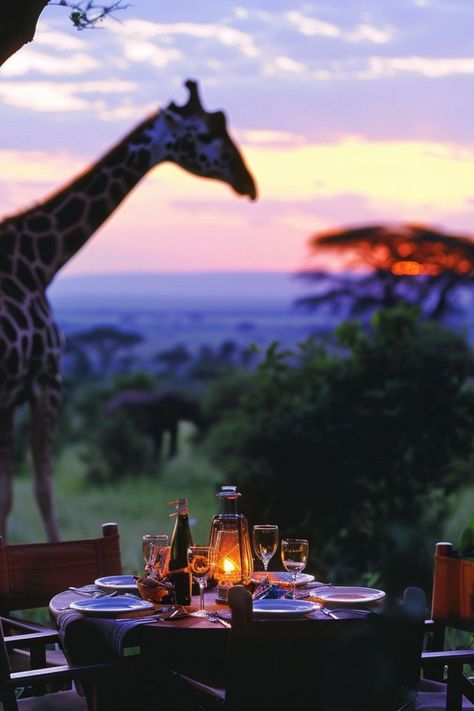 Embark on a Safari Adventure in Africa 🦁✨ Explore the wild beauty of Africa on a safari tour. Spot the Big Five, witness incredible wildlife, and immerse yourself in the diverse ecosystems of the savannah. 🌿🌍 #AfricanSafari #WildlifeAdventure #AdventureTravel #NatureLovers Safari Aesthetic, Africa Safari Photography, Beauty Of Africa, Africa Holiday, Africa Nature, Safari Holiday, Safari Photography, The Big Five, Tropical Africa