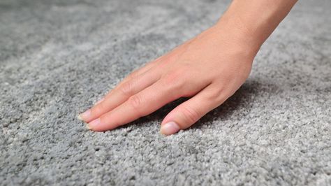 How To Fluff Carpet Back Up, Hair Blow Dryer, Types Of Carpet, Carpet Mat, Carpet Cleaner, Furniture Layout, House Cleaning, Back To Life, How To Clean Carpet