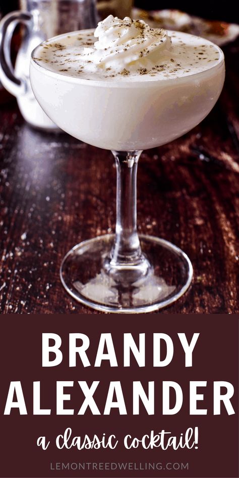 We LOVE this easy 3-ingredient Brandy Alexander recipe! A delicious dessert cocktail that's perfect for the holidays! Brandi Alexander Recipe, Brandy Alexander Recipe, Brandy Alexander, Liquor Recipes, Rum Drinks, Boozy Drinks, Mixed Drinks Recipes, Cocktail Desserts, Favorite Dessert