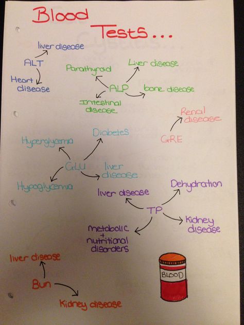 Types of blood tests ran Pharmacology Vet Tech, Vet Tech Pharmacology, Vet Nurse Notes, Vet Laboratory, Navle Study, Vet Tech Notes, Phlebotomy Study, Vet Nursing, Veterinary Nursing