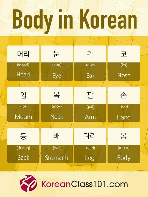 Parts Of The Body In Korean, Korean Speaking Practice, Body Parts In Korean, Body In Korean, Korean Practice, Struktur Teks, Learning Korean Grammar, Korean Slang, Korean Text