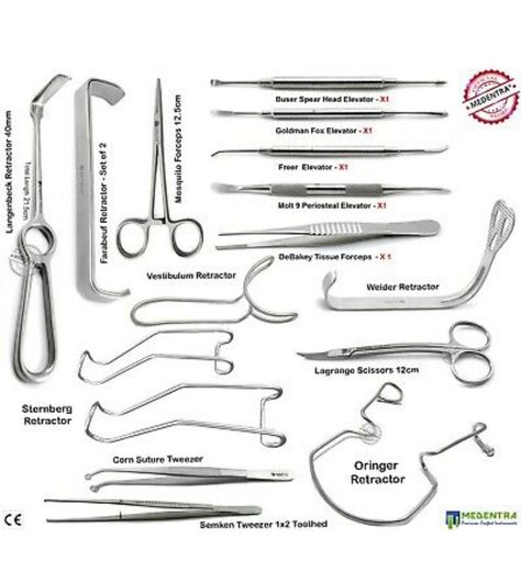 Surgical Instruments Names, Anatomy Dental, Sterile Processing Tech, Surgical Technologist Student, Surg Tech, Sterile Processing, Medical Terminology Study, Dental Assistant Study, Medical Assistant Student