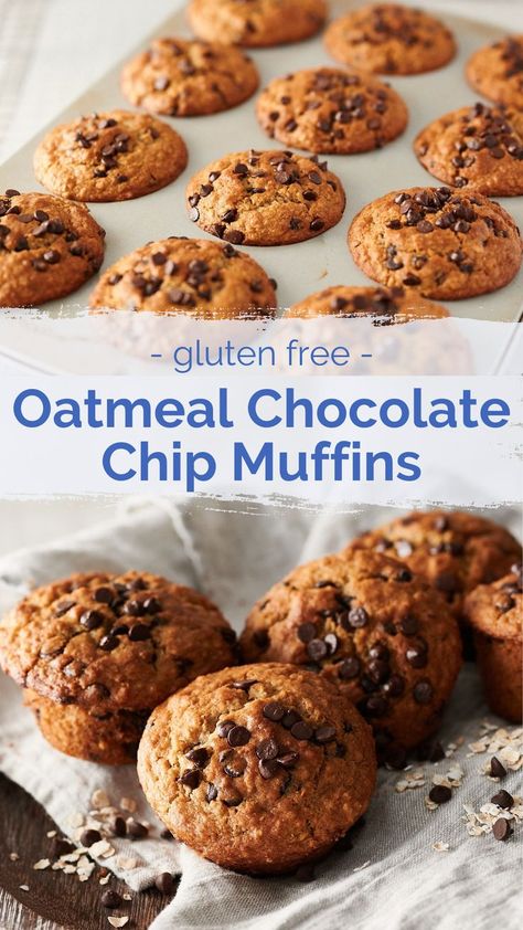 Gf Oatmeal Muffins, Gluten Free Oatmeal Chocolate Chip Muffins, Gluten Free Oatmeal Muffins, Gluten Free Snack Ideas, Gluten And Dairy Free Recipes, Gluten Free Chocolate Chip Muffins, Oatmeal Breakfast Muffins, Oatmeal Chocolate Chip Muffins, Gluten Free Snack