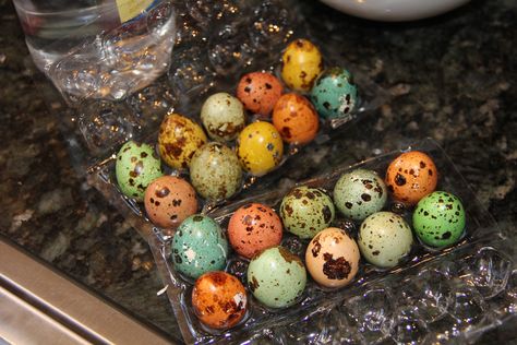 Quail Egg Crafts, What To Do With Quail Eggs, Picked Quail Eggs, Kitchen Sync, Quail Egg Photography, Quail Eggs Photography, Greek Easter, Quail Eggs, Egg Crafts