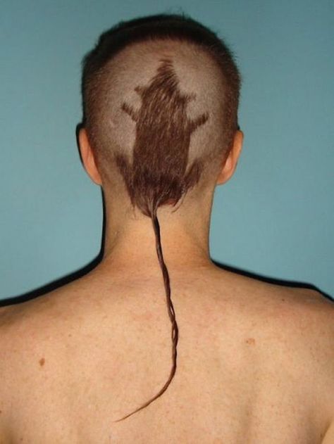 Rat Tail Haircut, Haircut Fails, Bad Haircut, Rat Tail, Corte De Cabelo Masculino, Hair Photo, Bad Hair Day, Crazy Hair, Hair Humor