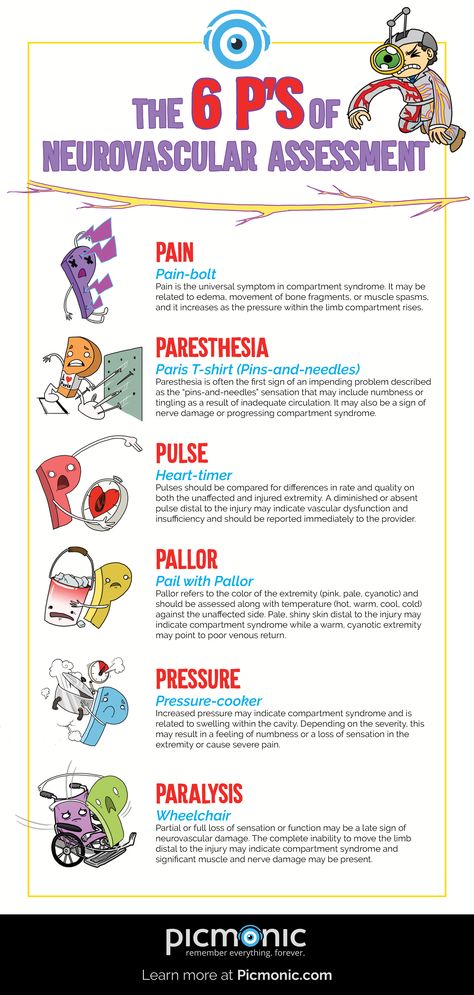 Neurovascular Assessment, Nursing School Studying Cheat Sheets, Nursing School Life, Nursing Information, Nursing Assessment, Nursing School Essential, Exam Tips, Nclex Study, Vascular Surgery