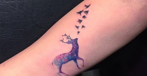 Tattoo Artist: Eva krbdk. Tags: categories, Watercolor, Animals, Deers. Body parts: Inner Forearm. Deer Tattoos For Women, Tattoo Arm Frauen, Deer Tattoos, Deer Tattoo Designs, Hirsch Tattoo, Inner Arm Tattoos, Tattoo On Arm, Super Tattoo, Inner Forearm Tattoo