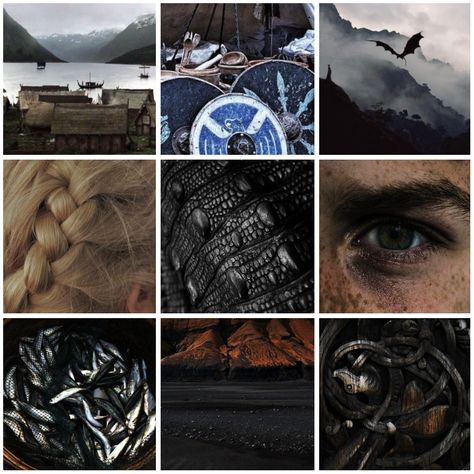 'How to Train Your Dragon' moodboard Dragon Moodboard, Fantasy Aesthetics, Fantasy Cottage, Royal Core, Adopt Idea, Mood Colors, Board Inspiration, Train Your Dragon, Mood Board Inspiration