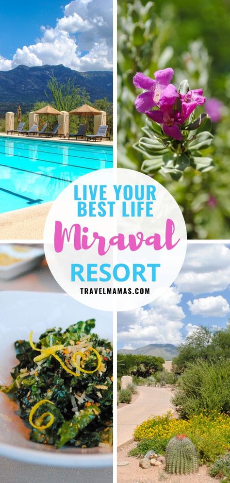 Curious about what it's like to stay at Miraval Arizona Resort in Tucson? This is the destination spa that Oprah Winfrey loves for a reason. Discover why a stay here is about much more than sheet thread counts and massages. This review shares how a stay at Miraval just might improve how you live your life! #arizona #spa #liveyourbestlife Miraval Resort Arizona, Arizona Spa Resorts, Sedona Spa, Arizona Spa, Arizona Resorts, Spa Retreats, Arizona Trip, Spa Resorts, Health Retreat