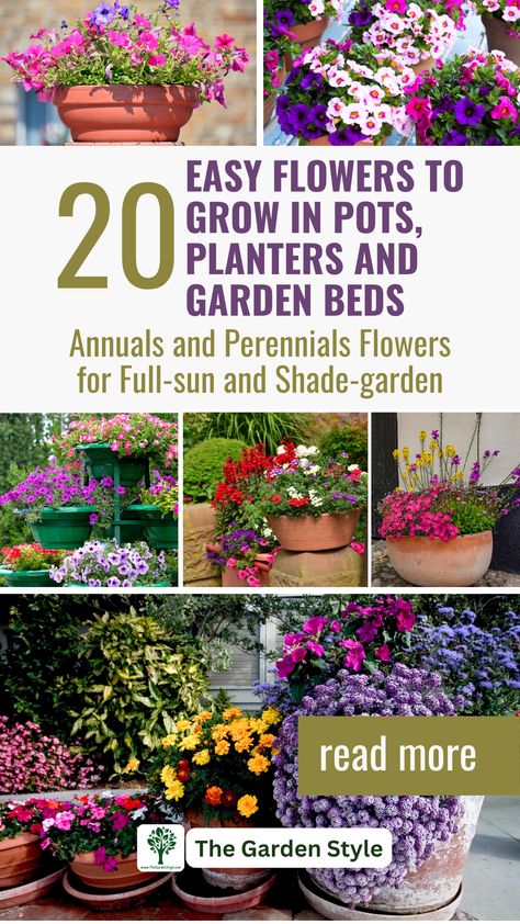 This pin shows several flower containers arranged in perfect flower pot designs. The pin title is "20 Easy Flowers to Grow in Pots, Planters and Garden Beds". The subtitle is "Annual and Perennial Flowers for full-sun and shade garden". Visit TheGardenStyle.com Annual Flower Arrangements In Pots, Flowers For Pots In Full Sun, Part Sun Part Shade Container Plants, Planting Flowers In Pots Ideas, Annual Flowers For Full Sun Pots, Best Plants For Containers, Flowers For Outdoor Pots, Plant Arrangements Outdoor Flower Pots, Best Planter Flowers