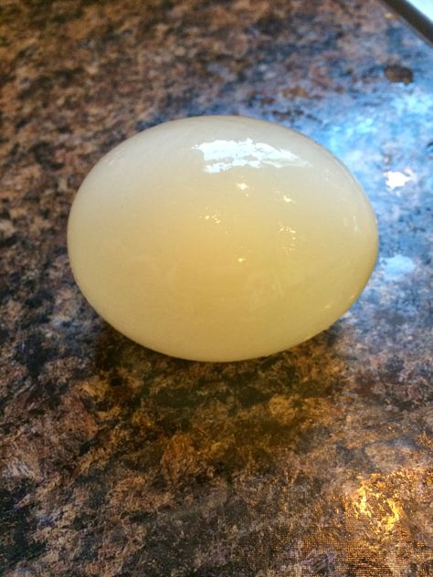 Bouncing Egg Egg In Vinegar, Bouncy Egg, Science Week, Bouncy Ball, Bouncy Balls, Cool Science Experiments, Science Experiment, An Egg, Christmas Stuff