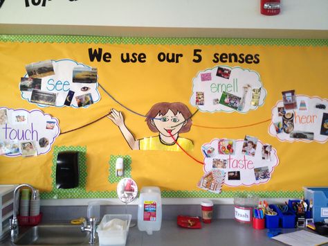 My five senses curriculum My Five Senses, Reading Comprehension Kindergarten, All About Me Activities, About Me Activities, Preschool Classroom Decor, School Doors, Classroom Board, Five Senses, Board Decoration