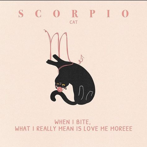 Scorpio Poster, Zodiac Meanings, Scorpio Traits, Scorpio Zodiac Facts, Poster Aesthetic, Astrology Art, Cute Doodles Drawings, Scorpio Zodiac, Diy Art Painting