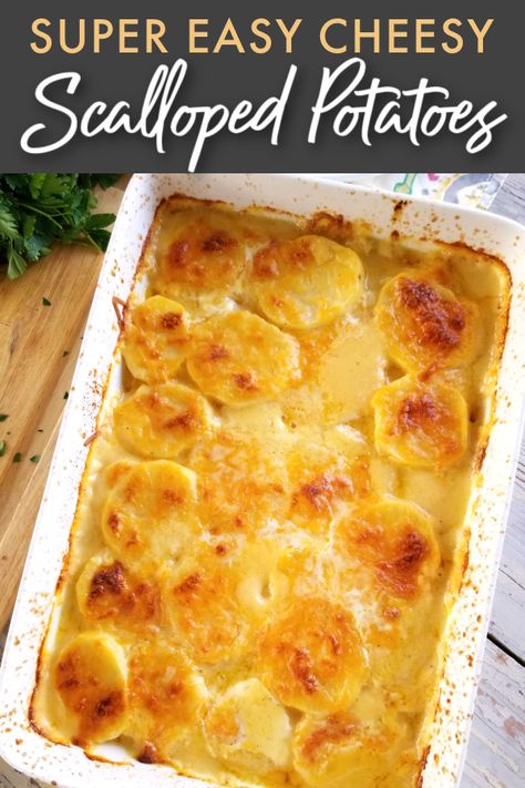 Super Easy Scalloped Potatoes, Easy Cheese Potatoes, Potato Gratin Easy, Easy Potato Casserole, Au Gratin Potatoes Easy, Creamy Potato Bake, Gratin Recipes, Easy Cheesy Scalloped Potatoes, Scalloped Potato Casserole