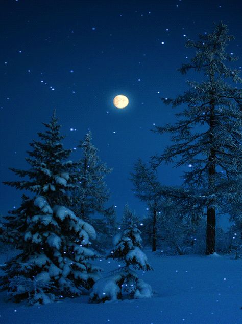 Silent Night Good Night Everybody, Shoot The Moon, Christmas Scenery, Winter Szenen, Winter Images, Winter's Tale, Winter Love, Winter Scenery, Winter Beauty