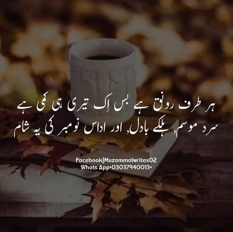 Sana Fairy Poetry, Winter Poetry, November Quotes, Personality Quotes, Weather Quotes, Urdu Love Words, Poetry In Urdu, Poetry Lines, Poetry Quotes In Urdu