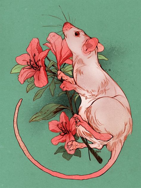 Оо Rat Drawing Reference, Cute Rat Drawings, Rat Reference, Rat Oc, Rat Illustration, Rat Drawing, Rat Art, Arte Indie, A Rat