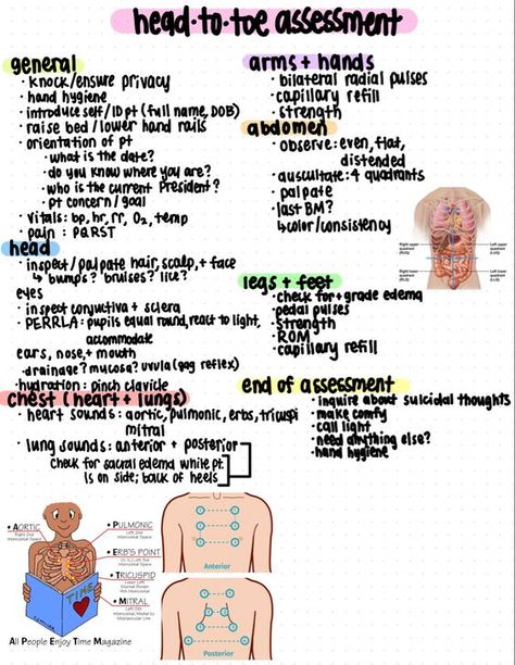 Head to Toe Assessment  #nursingschool #nursingstudent #study - Image Credits: Whitney Lovato Nursing School Assessment, How To Write Nursing Notes, Cpr Notes Pretty, Focused Assessment Nursing, Safety Nursing Notes, Skin Nursing Notes, Nurse Must Haves Student, Introduction To Nursing Notes, Meal Prep Nursing School