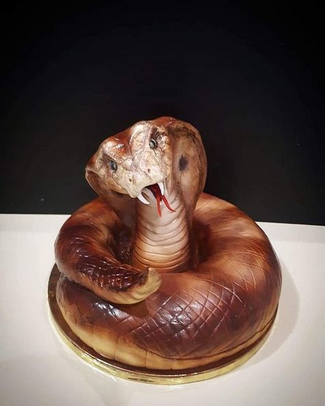 Cobra Cake, Impressive Cakes, 28th Birthday Cake, Christian Cakes, Snake Cake, Snake Cakes, Snake Birthday, Cake Structure, Gravity Defying Cake