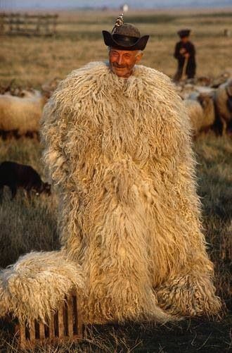 Juhász-taking care of sheeps Hungarian Shepherd, Hungary Photography, A Sheep, European Culture, Cultural Diversity, We Are The World, Central Europe, Arte Popular, Folk Costume