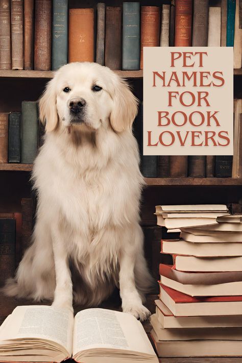 Would you like a literary name for your new pet? Take a look at our comprehensive list of 150 pet names for book lovers. Fantasy Pet Names, Aesthetic Pet Names, Pet Names For Boys, Clever Dog Names, Unique Pet Names, Southern Dog Names, Names For Pets, Pet Name Ideas, Female Pet Names