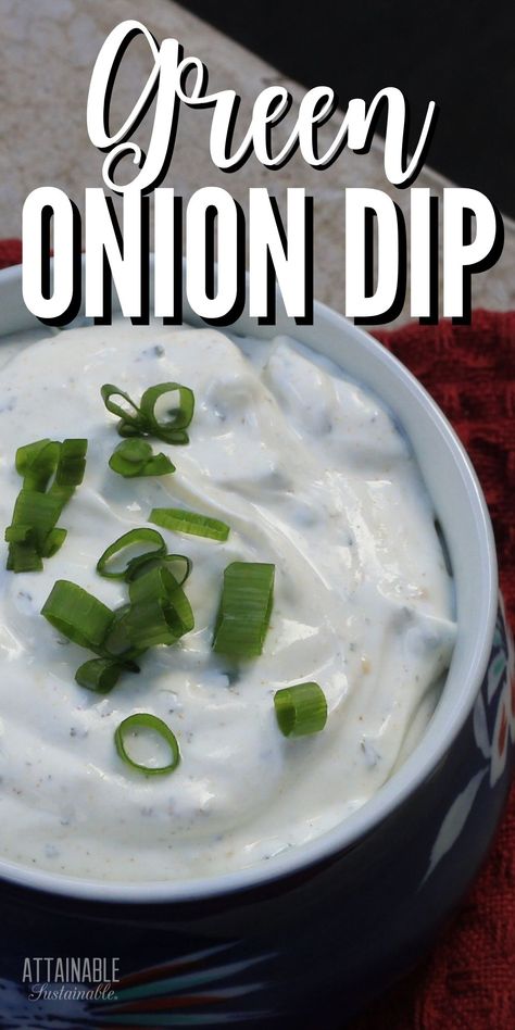 green onion dip in a blue bowl Green Onion Dip Recipe, Green Onion Dip, Attainable Sustainable, Green Onions Recipes, Chip Dip Recipes, Holiday Buffet, Appetizer Buffet, Onion Dip Recipe, Vegetable Dip