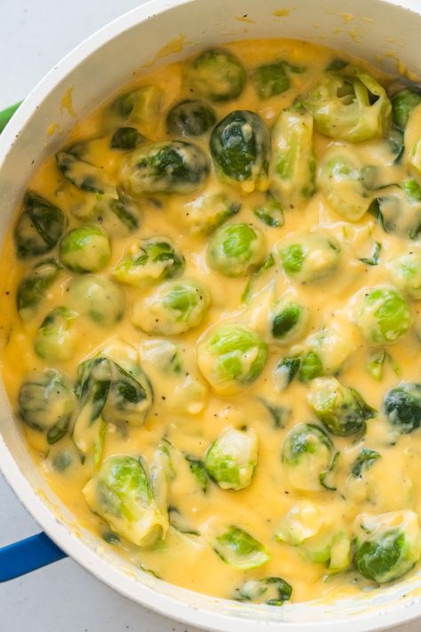 Brussels Sprouts Soup Recipe, Creamy Brussel Sprouts, Cheesy Brussels Sprouts, Brussel Sprouts Recipes Easy, Braised Chicken Recipes, Baked Brussel Sprouts, Best Broccoli Cheese Soup, Boiled Chicken Recipes, Cooking Brussel Sprouts