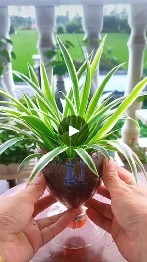 1.3M views · 26K reactions | Less than 1 minute and then you have a planter from plastic bottle 😉 #UpcycleChallenge #creativeplanters | Houseplants Journal | Houseplants Journal · Original audio | Reels Plastic Bottle Planter, Small Indoor Plants, Plant Care Houseplant, Plant Help, Plant Hacks, Hanging Plants Indoor, Growing Plants Indoors, Indoor Gardens, Plants Indoor