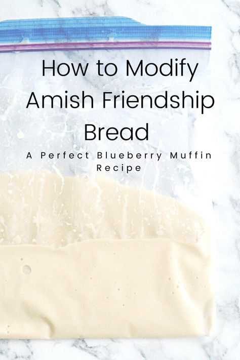 Amish Friendship Starter, Perfect Blueberry Muffins, Amish Bread Recipes, Blueberry Muffin Recipe Healthy, Amish Friendship Bread Starter Recipes, Friendship Bread Recipe, Friendship Bread Starter, Amish Bread, Amish Friendship Bread